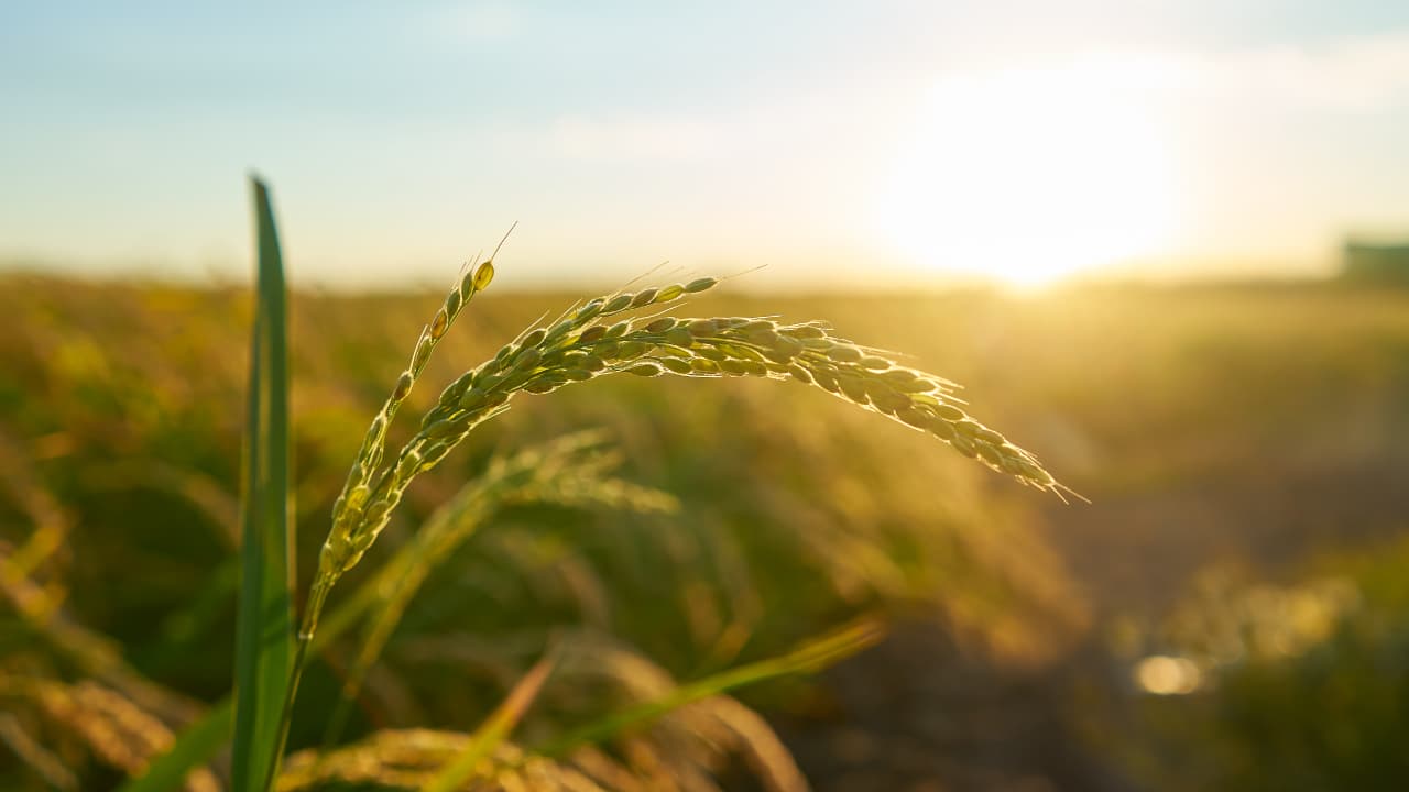 AgroQubit plans on redefining the future of farming