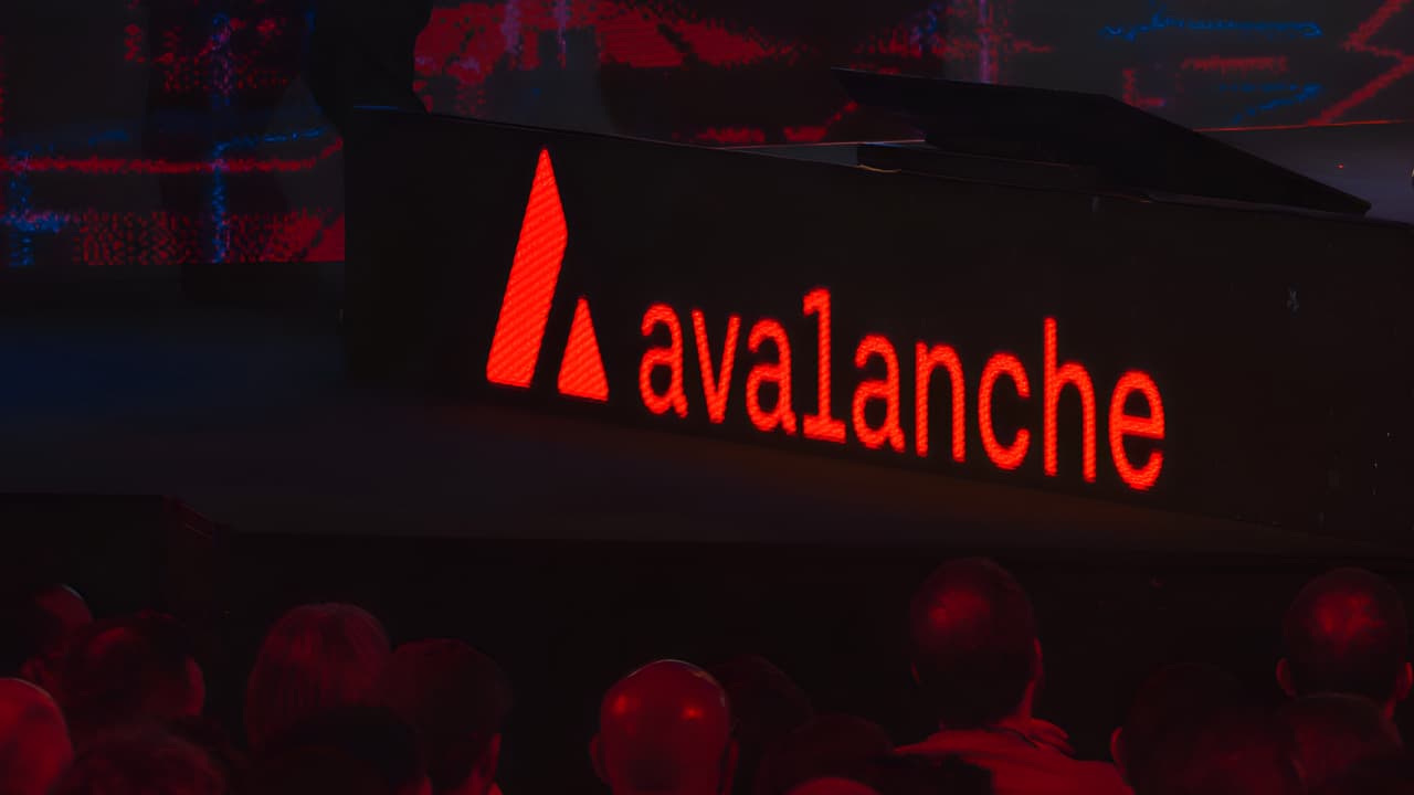 Ruvi AI Gains Traction as Investors Look Beyond Avalanche